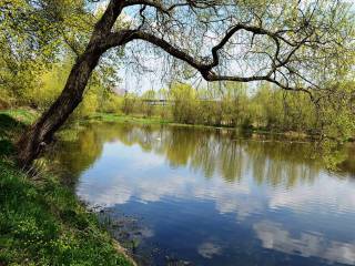 В Перми подведены итоги работ по оздоровлению малых рек