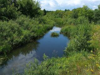 Более чем на 20 процентов улучшилось состояние воды в малых реках Перми