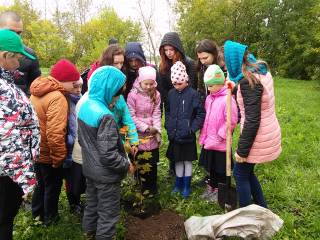 Пермские школьники приняли участие в посадке деревьев