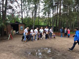 Питомцы муниципального приюта приняли участие в Выставке беспородных собак «Уральский пес 2019»