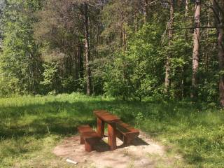 В лесах Перми с начала мая оборудовано более 30 малых мест отдыха