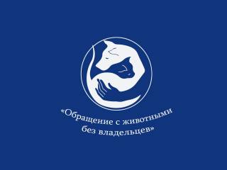 Пермский муниципальный приют приглашает пермяков стать волонтерами