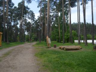 В Перми отмечают Международный день лесов