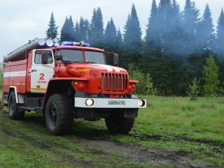 В Пермских городских лесах началась подготовка к пожароопасному сезону