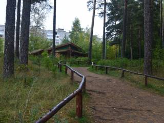 В Чернявском лесу прошла познавательная экскурсия для школьников
