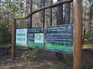 На стендах экотроп в Перми появится информация о местах сбора грибов и ягод в городских лесах