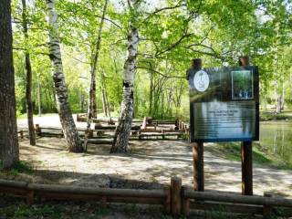 В Перми установят видеонаблюдение в Черняевском лесу