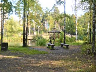 В Черняевском лесу при реализации проекта «Зелёное кольцо» обновят существующие места отдыха