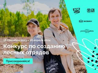 В России проходит конкурс по созданию лесных отрядов