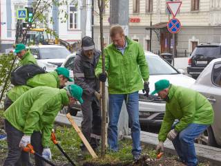 Жителей Перми приглашают принять участие в акции «Дерево-городу»