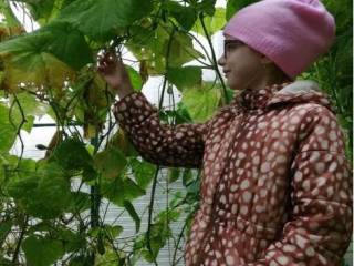 В Перми появилась экологическая тропа «Юный аграрий»