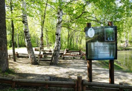 В Перми установят видеонаблюдение в Черняевском лесу