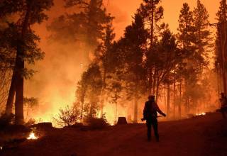 Видеоролик по недопущению лесных пожаров